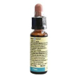 vine 10ml di leo