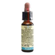 walnut 10ml di leo