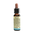 fiori di bach - 35 white chestnut - integratore per la ripresa psicologica 10 ml