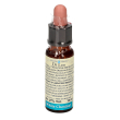 white chestnut 10ml di leo