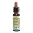 fiori di bach 35 white chestnut 10 ml di leo