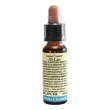 white chestnut 10 ml di leo fiore di bach per pensieri ossessivi
