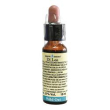 wild oat 10ml di leo