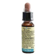 wild rose 10ml di leo