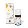 niaouli - olio essenziale puro concentrato 10 ml
