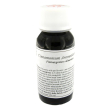 16s cinnamomum aromaticum comp