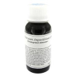 lvs 47c helichrysum angust com