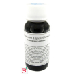 lvs 47c helichrysum angustifolium compositum 60 ml