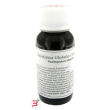 lvs 56s eucalyptus globulus compositum 60 ml
