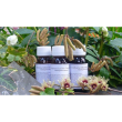 labor villa stoddard lvs 70c olea europea compositum