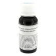 lvs 82c epilobium angustif com