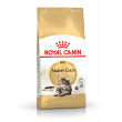 fbn maine coon adult  2kg