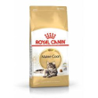 rc maine coon 31 10kg minsan 910443821