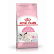 rc baby cat & mother 2kg minsan 910443872