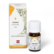 menta piperita oe 10ml
