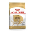 rc lr 30 12kg labrador minsan 910511866