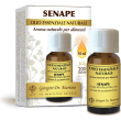 senape 10 ml - olio essenziale vivificato