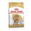 rc mini poodle 30 500gr barboncino minsan 910623242