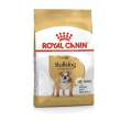 rc bulldog inglese adult 24 3kg minsan 910855117