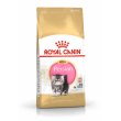fbn persian kitten 400g