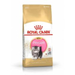 rc kitten persian 32 400gr minsan 910855396