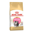fbn persian kitten 2kg