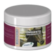 equiprotect gr.250 unguento  # minsan 910901255