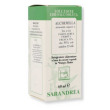 alchemilla 60ml tintura madre