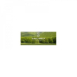 artiglio diav.gocce 100ml sarand
