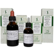 galium 60ml tintura madre