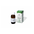 sarandrea ginkgo biloba 60 ml - integratore per la memoria, la concentrazione e la circolazione