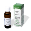 sarandrea tormentilla 60ml tm