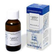 carpinus betulus 60ml mg