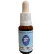 magnatite gocce lubrificanti per gli occhi da 15 ml
