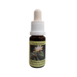 blueberry cactus 15 millilitri aroma concentrato per sigaretta elettronica al gusto di mirtillo e ca