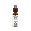 northern lady&rsquo;s slipper 7,4 ml - essenza floreale per equilibrio emotivo femminile