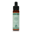 essenza singola del deserto dell'arizona - bear grass 10ml