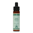 emotional awareness 10ml