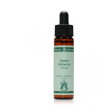 air formula 10ml