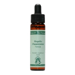 11:11 flower essence stock 30 ml - essenza floreale vibrazionale