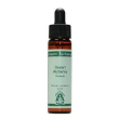 wild buckwheart 10ml