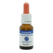 acquamarina 15ml