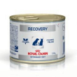 diet recovery cane e gatto 195gr minsan 912428149