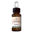 chicory fiori mediter gtt 10ml
