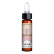 crab apple fiori mediter gocce