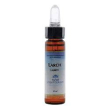 larch fiori mediter 10ml