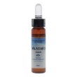 mustard fiori mediter gtt 10ml