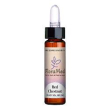 red chestnut fiori mediter gtt