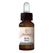 rock rose fiori mediter gocce