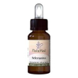 scleranthus fiori mediter gtt
